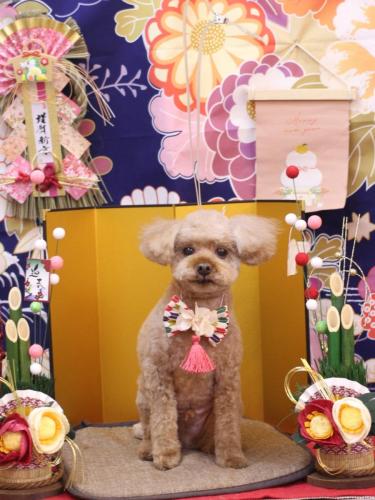 20240107そらくん